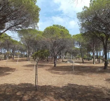 Silence & Veranda -10 Minutes From The Beaches Apartamento *